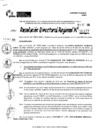 Vista preliminar de documento RDR 11177-2024