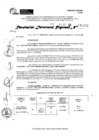 Vista preliminar de documento RDR 11178-2024