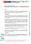 Vista preliminar de documento RESOLUCION DE DIRECCION EJECUTIVA-000195-2025-DE
