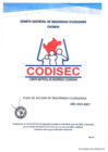 Vista preliminar de documento PLAN DE ACCION DE SEGURIDAD CIUDADANA 2024-2027 MDCH