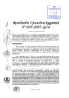 Vista preliminar de documento RER 035-2025-GOB