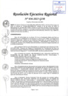 Vista preliminar de documento RER 036-2025-GOB