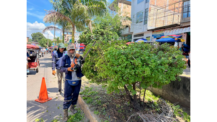 Trabajos de desmalezado y deshierbe de maleza en la ciudad de Tarapoto.