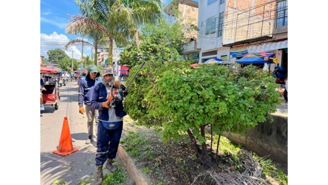 Trabajos de desmalezado y deshierbe de maleza en la ciudad de Tarapoto.