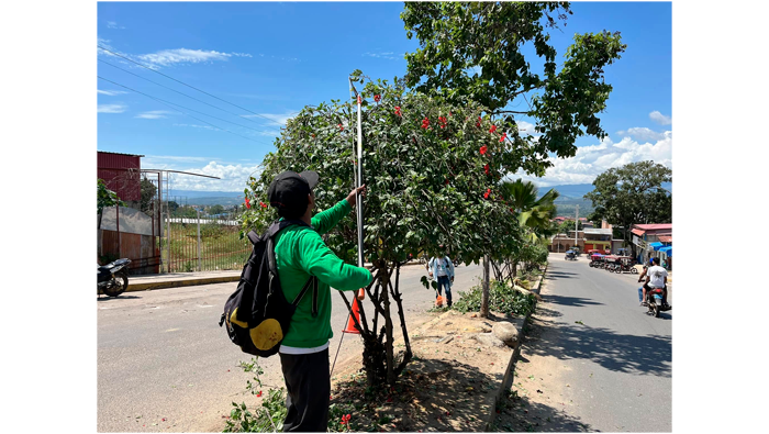Trabajos de desmalezado y deshierbe de maleza en la ciudad de Tarapoto.