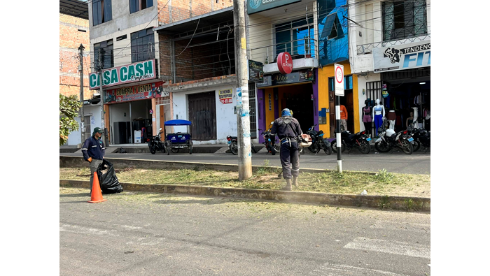 Trabajos de desmalezado y deshierbe de maleza en la ciudad de Tarapoto.