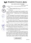 Vista preliminar de documento RESOLUCIÓN DE ALCALDÍA N°067-2025-MPA