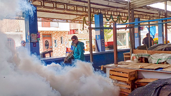 Fumigación del Mercado La Pecera del C.P. San Jacinto