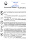 Vista preliminar de documento RA382-2024