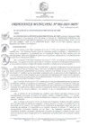 Vista preliminar de documento OM_002-2025-MPV