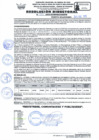 Vista preliminar de documento RD Nº 031 - 2025
