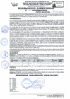 Vista preliminar de documento RD Nº 033 - 2025