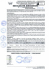 Vista preliminar de documento RD Nº 034 - 2025