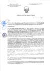 Vista preliminar de documento RD-0517-2025-DSAIA-DIRIS-LE-MINSA
