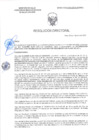 Vista preliminar de documento RD-0560-2025-DSAIA-DIRIS-LE-MINSA