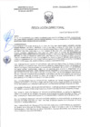 Vista preliminar de documento RD-0565-2025-DSAIA-DIRIS-LE-MINSA