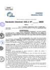Vista preliminar de documento Resolucion Directoral N° 000231-2025