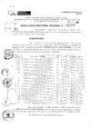 Vista preliminar de documento RDR 11189-2024