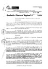 Vista preliminar de documento RDR 11194-2024