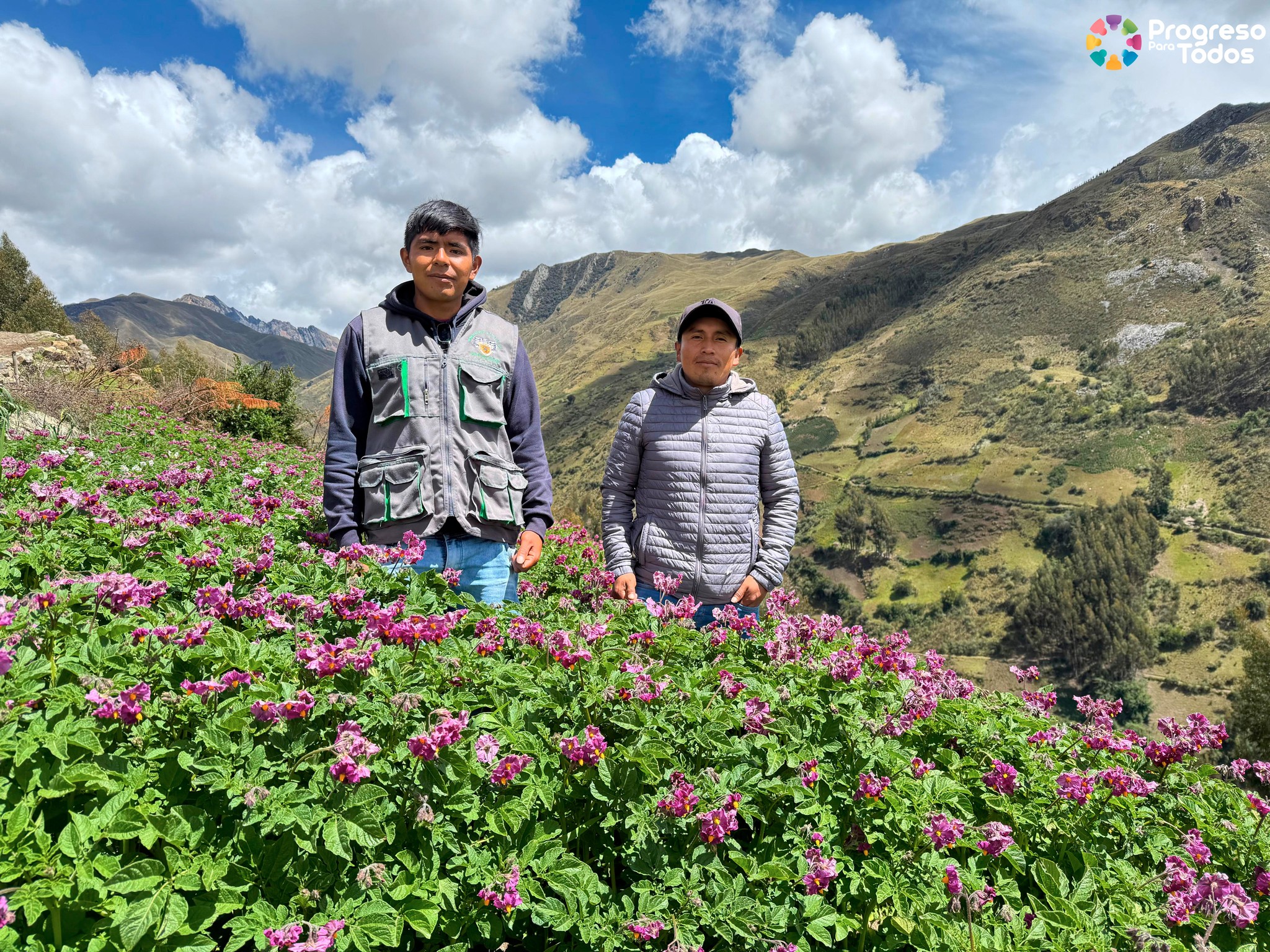 Trabajando para el progreso de todos.