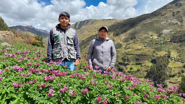 Trabajando para el progreso de todos.