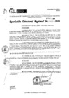 Vista preliminar de documento RDR 11195-2024