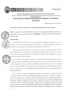 Vista preliminar de documento RGSP030-2025