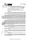 Vista preliminar de documento RDR 11199-2024