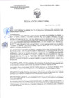 Vista preliminar de documento RD-0578-2025-DSAIA-DIRIS-LE-MINSA
