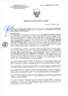 Vista preliminar de documento RD-0582-2025-DSAIA-DIRIS-LE-MINSA