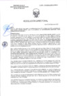 Vista preliminar de documento RD-0585-2025-DSAIA-DIRIS-LE-MINSA