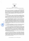 Vista preliminar de documento resolucion gerencial regional 116-2025