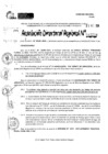 Vista preliminar de documento RDR 11204-2024