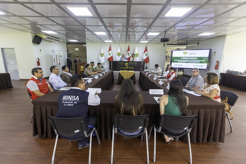 Distrito de La Molina instaló Comité Municipal por Derechos de Niños y Adolescentes para el año 2025