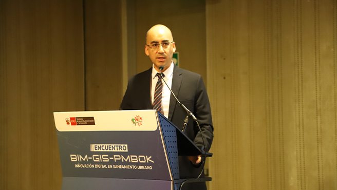 Ponencia del director del OTASS