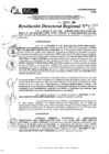 Vista preliminar de documento RDR 11207-2024