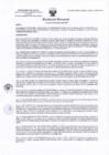 Vista preliminar de documento RD 013-2025-DMGS - Asignar categoria I-1 DENTAL CURI 24ENE2025