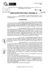 Vista preliminar de documento RDR 11208-2024