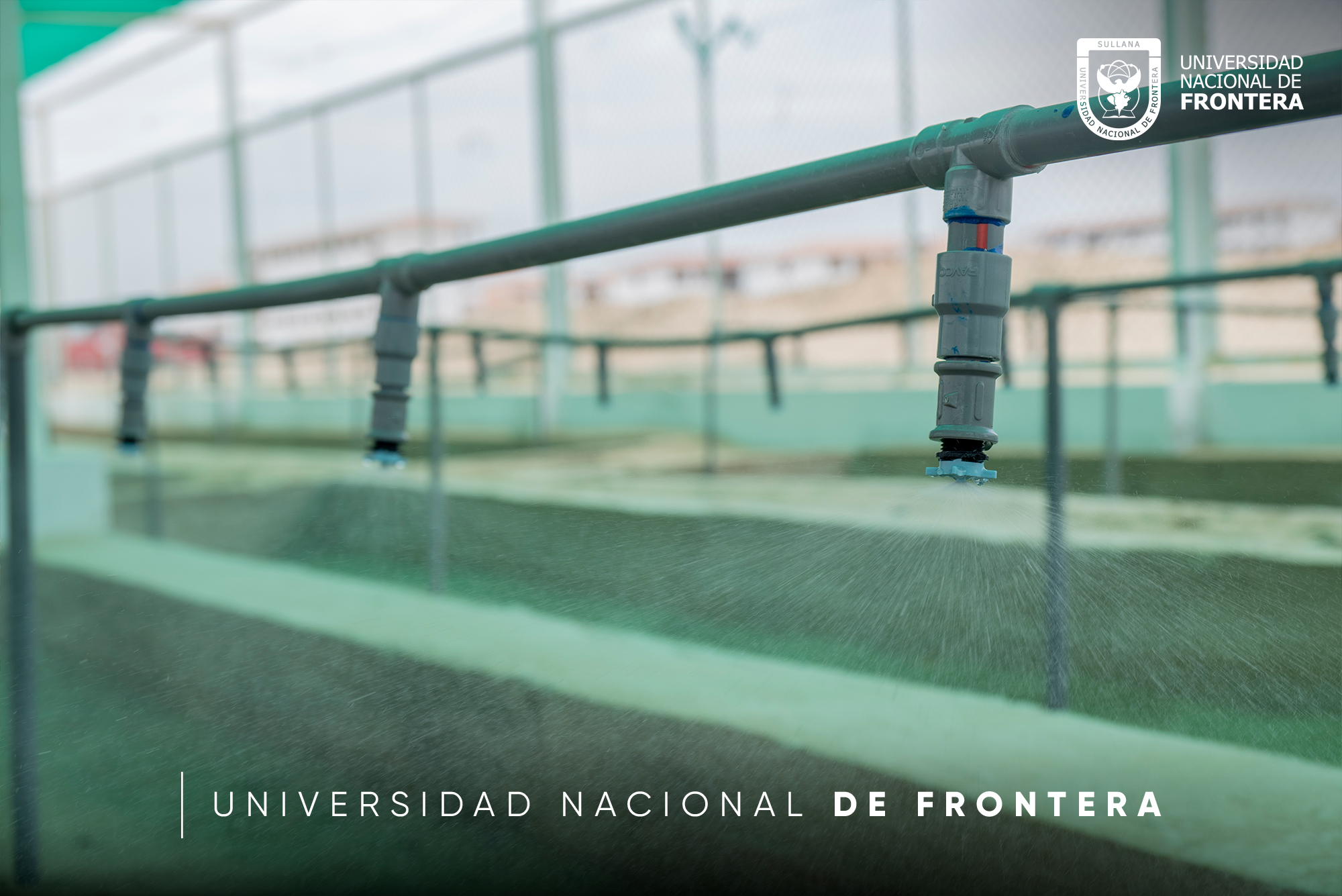 La Universidad Nacional de Frontera (UNF), en colaboración con diversas instituciones y organizaciones, participó activamente en la primera campaña de colecta de semillas de especies nativas forestales en el sector de Playas de Romeros, distrito de Lancones. Esta iniciativa, tiene como objetivo promover la conservación de los ecosistemas locales y combatir los efectos negativos del cambio climático en la región.