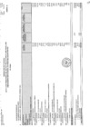 Vista preliminar de documento PIA-2025 Anexo 2