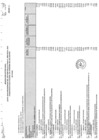 Vista preliminar de documento PIA-2025 Anexo 3
