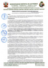 Vista preliminar de documento RESOLUCION DE ALCALDIA N° 025-2025-MDLP-ALC