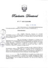 Vista preliminar de documento RD N° 028-2025