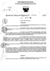 Vista preliminar de documento RDR 11210-2024