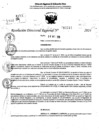 Vista preliminar de documento RDR 11211-2024