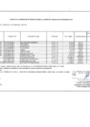 Vista preliminar de documento ANEXO 06 Aprobacion de Modificaciones al Cuadro Multianual de Necesidades N° 2