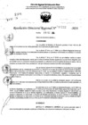 Vista preliminar de documento RDR 11212-2024