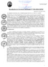 Vista preliminar de documento RGM026-2024