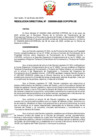 Vista preliminar de documento RD Nº D000009-2025-DE