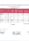 Vista preliminar de documento Resultado preliminar